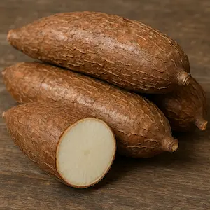 tapioca starch extract